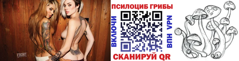 Галлюциногенные грибы Psilocybine cubensis Ростов-на-Дону